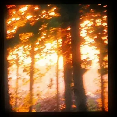 Profile image of 코마