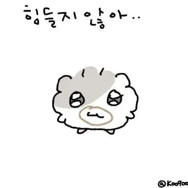Profile image of 선생님