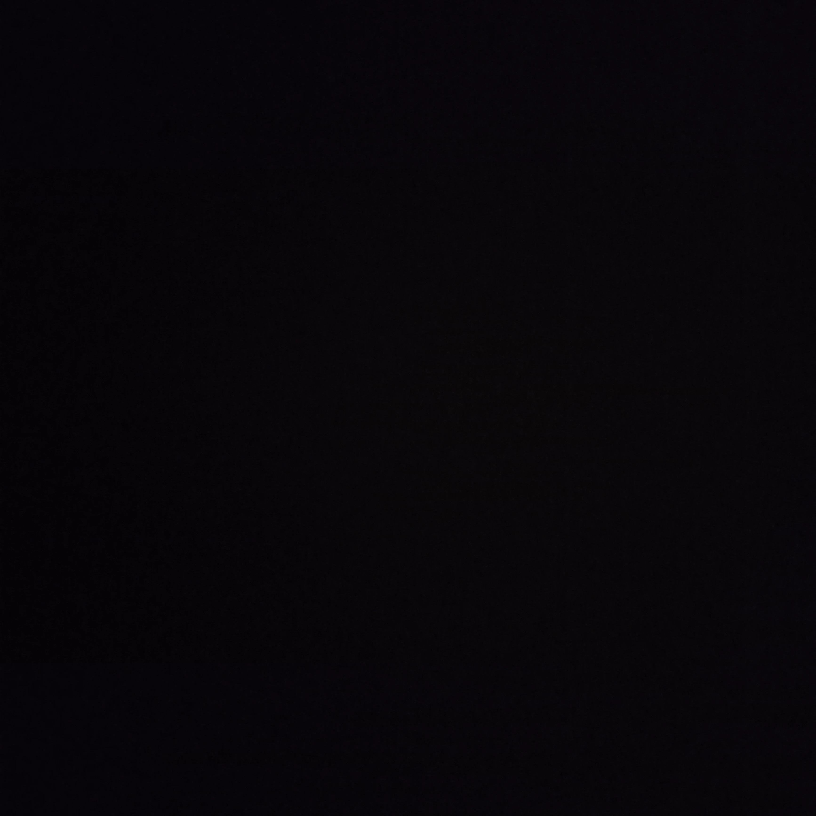 수연