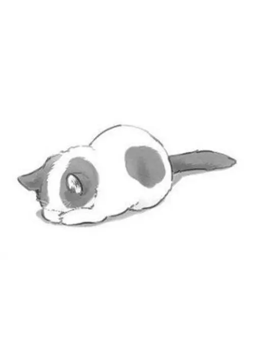 Hazuhazu_yuki의 猫、拾いました。