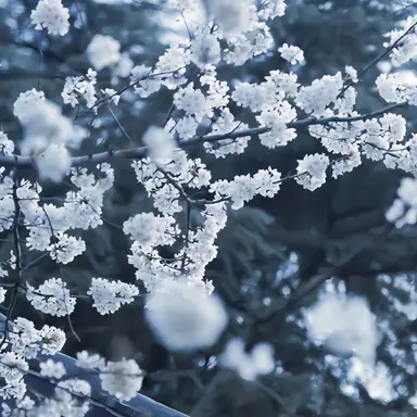 Profile image of 이겸