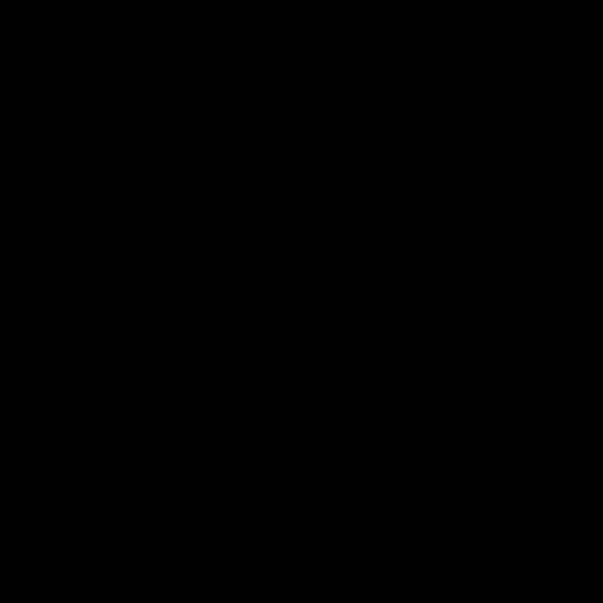 정한