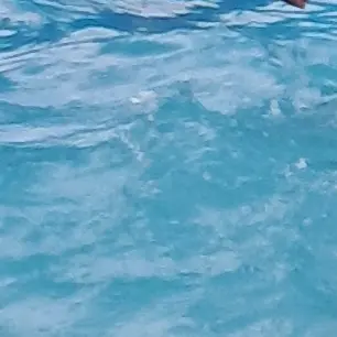 Profile image of 하루나비