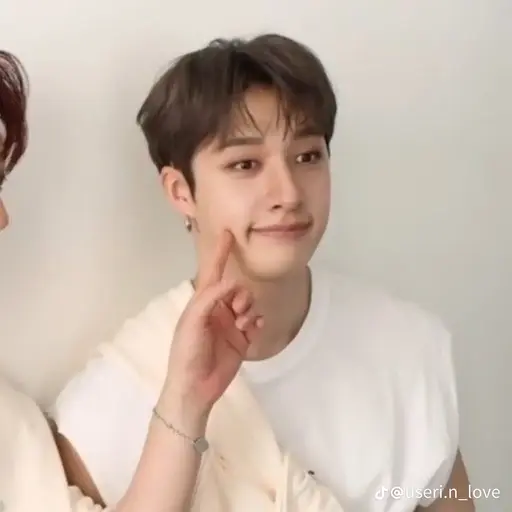 WaryGrape1709의 방찬