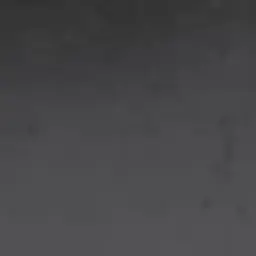 Profile image of 라더