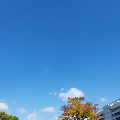 Profile image of 지현