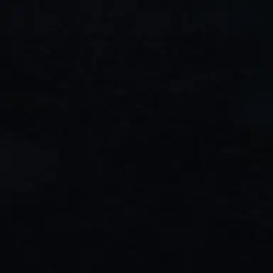 Profile image of 김동혅