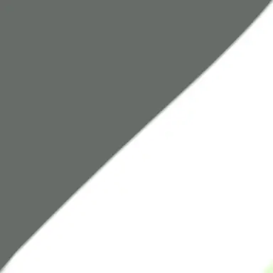 Profile image of オムスビ