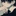 勇斗