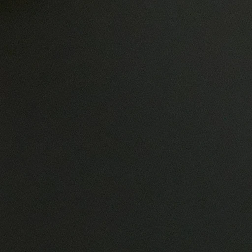 미운 오리 새끼