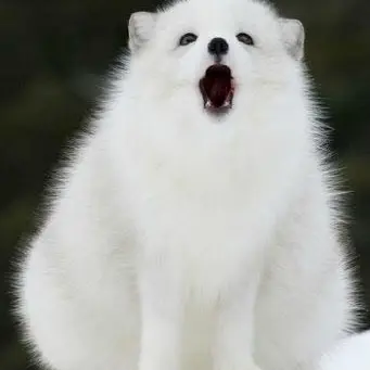 Profile image of 백현