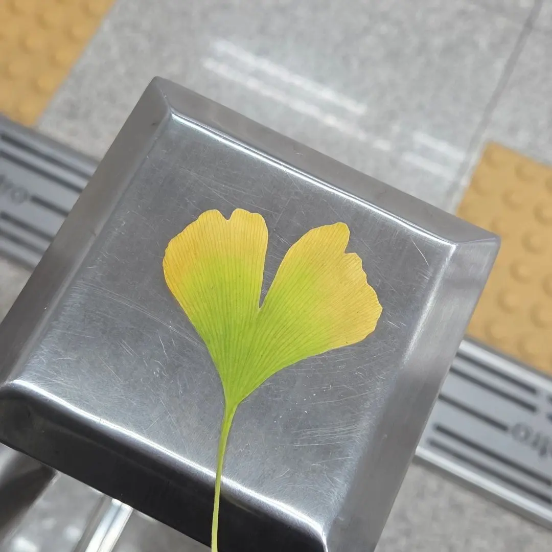 Probably5의 얼렁뚱땅 자매들