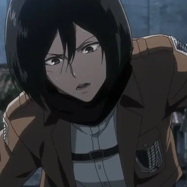 Profile image of 미카사