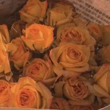 Profile image of 박덕개