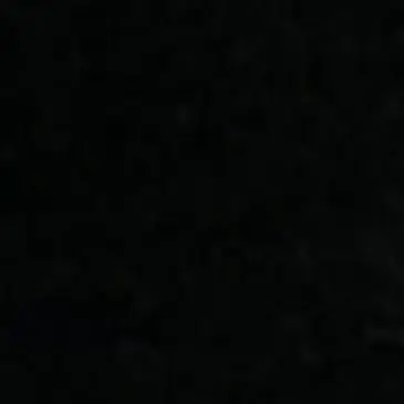 Profile image of ADP