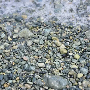 Profile image of 이혜민