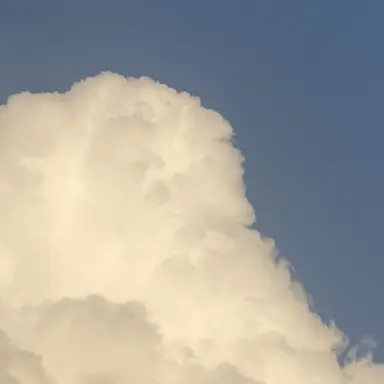 Profile image of プロヒーロー