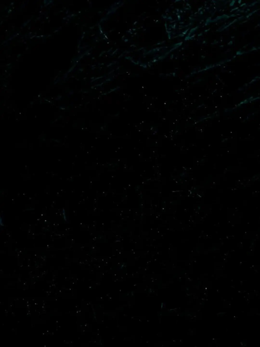 BrutePaste9746의 검정단