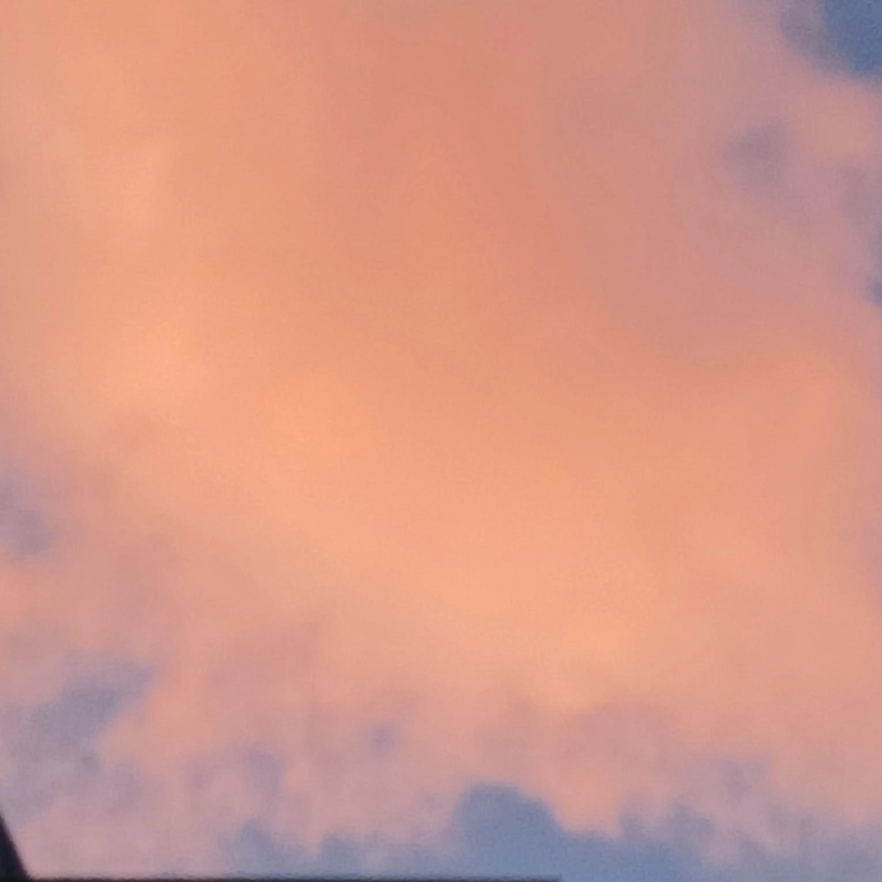 AgedSign8763의 줄리우스 셀레버 여우