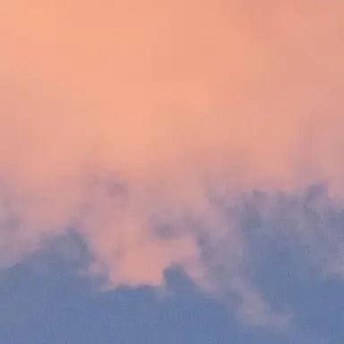 Profile image of 셀레버