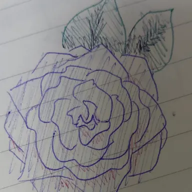Profile image of 코르디아