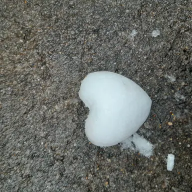 Profile image of 도인범