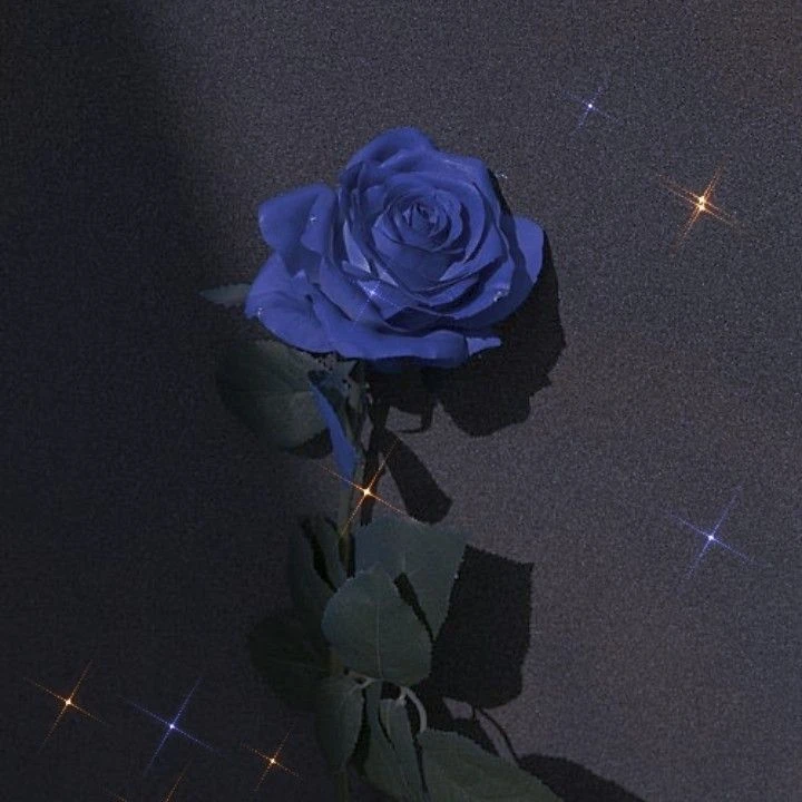 박잠뜰