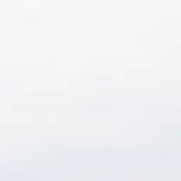 Lahan의 조작된 납치