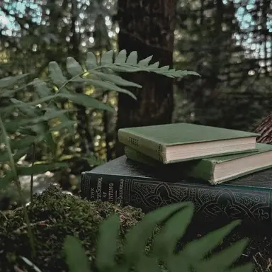 Profile image of 정형준