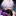 白夜