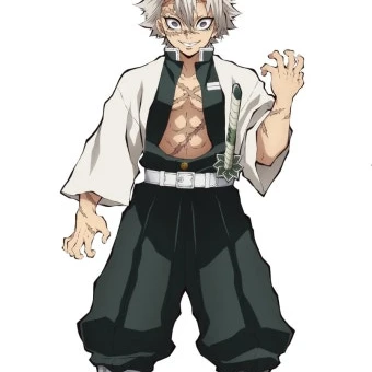 시나즈가와 사네미