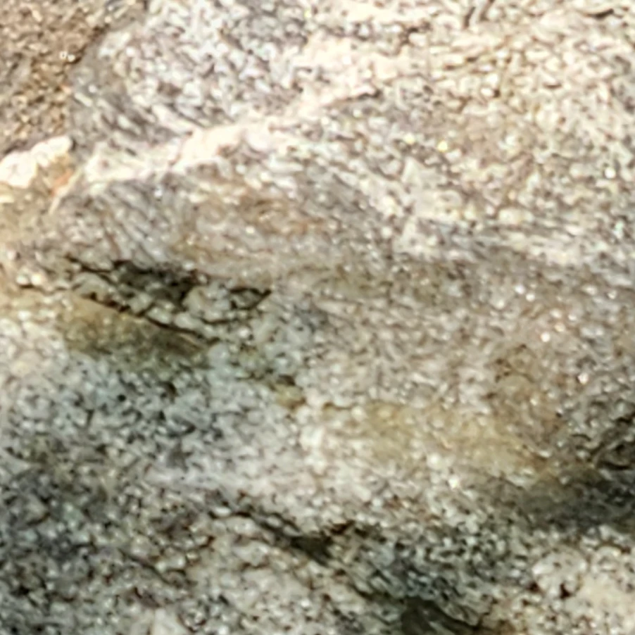 경호원