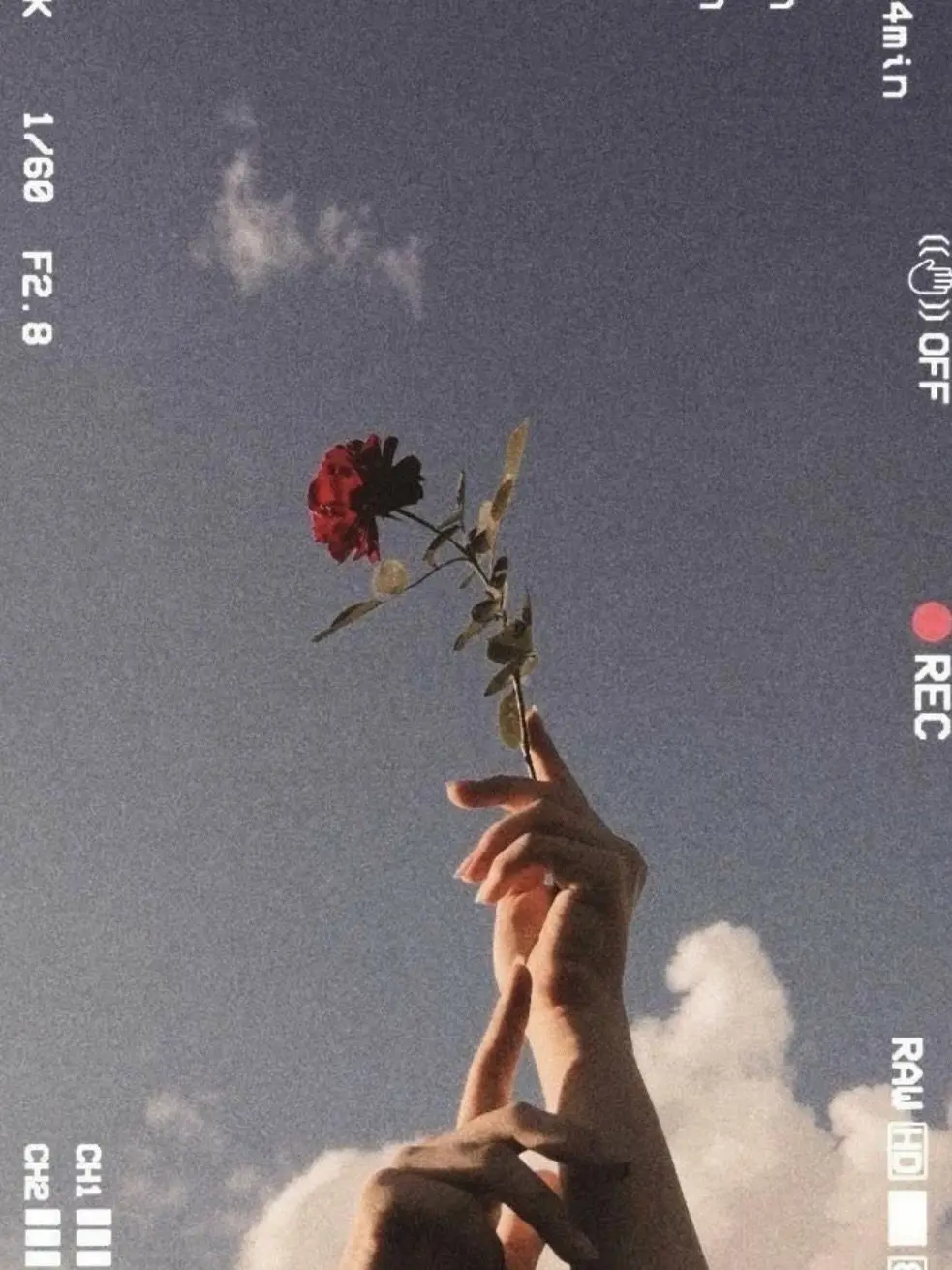 Jiyoon149의 삼각관계