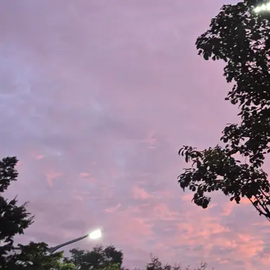 Profile image of 각별