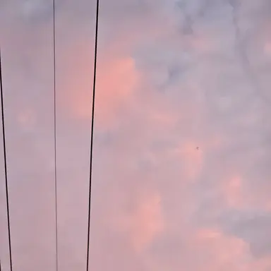 Profile image of 라더