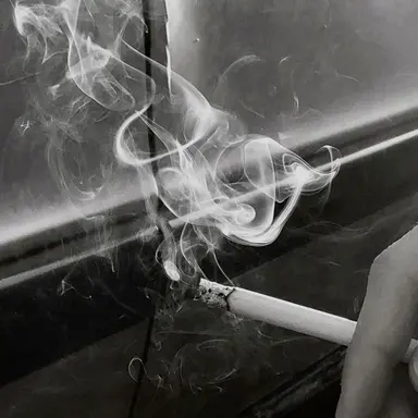 Profile image of 재현