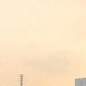 FutureCase3672의 고고프렌즈 