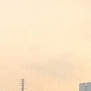 고고프렌즈