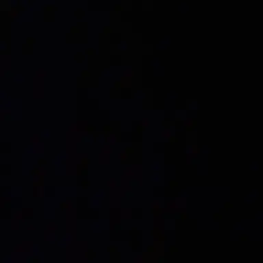 Profile image of 애리