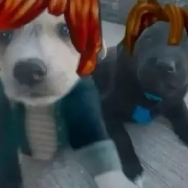 Profile image of 샤샤핑