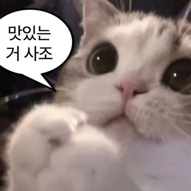 Profile image of 포실핑