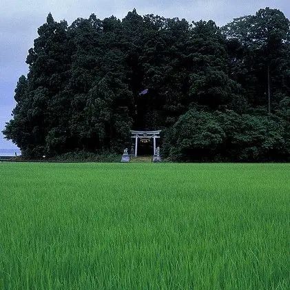 Oasis의 神霊