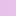 카네코 이로하 / 데이지