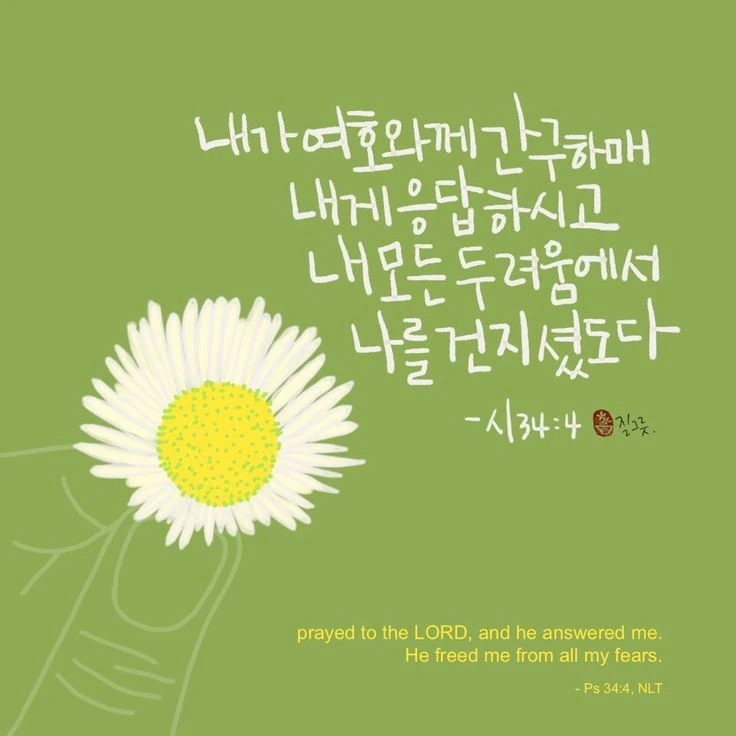 차승현