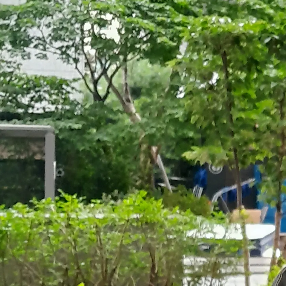 TangyRaw7775의 연말무대에서같이섹시댄스추게된한유진