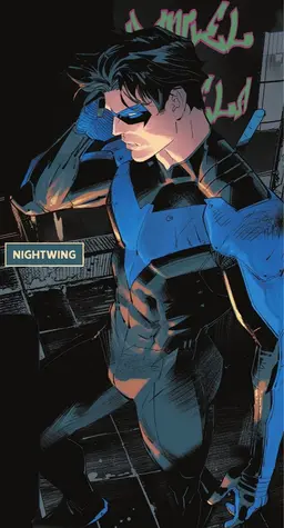 Profile image of Nightwing