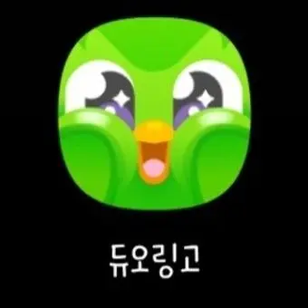 CannyLadle8463의 기요미 듀오링고