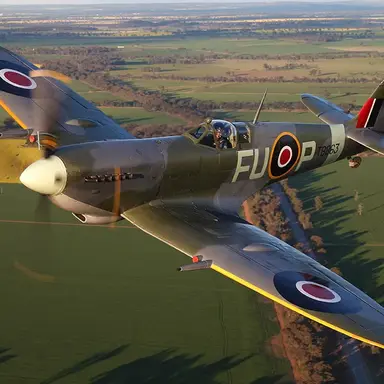 Profile image of 스핏파이어