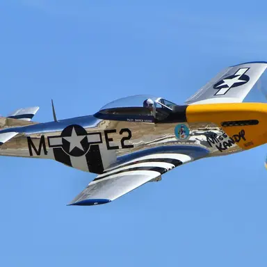 Profile image of P51머스탱