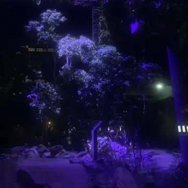 Profile image of 冬橋 航